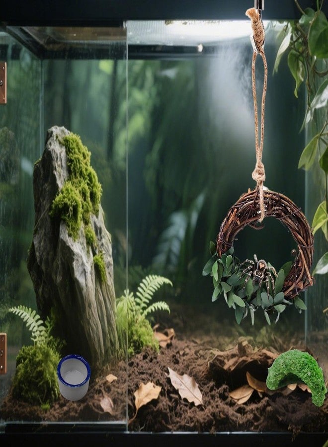 Luchike Set of 4 Jumping Spider Enclosure Accessories Jumping Spider Accessories Enclosure Habitat Decor 2 Water Bowl 1 Rattan Swing 1 Little Green Hide - Image 2